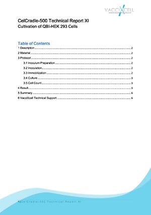 Cultivation of QBI-HEK 293 Cells